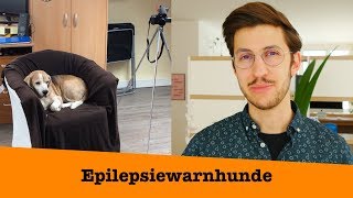 Epilepsiewarnhunde - Beeindruckende Fähigkeiten!