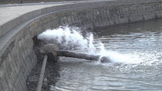 Поток воды очистит Комсомольский пруд