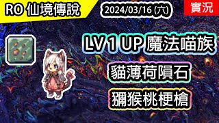 【RO實況# 350】 從 LV1 開始 🐈魔法喵族  | 獼猴桃梗槍、貓薄荷隕石 | 魂靈師養成(魔法)EP.1 | TWRO 查爾斯伺服器 | Magical Summomer