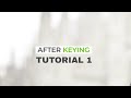 After Keying for After Effects Tutorial 1