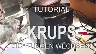 Tutorial KRUPS chainging seals