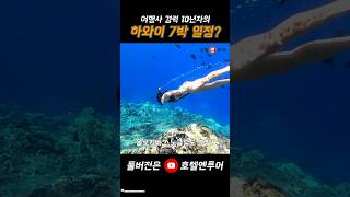 여행사 10년 차가 하와이 일정 추천한다면??👌👌