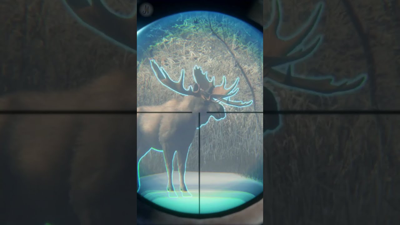 REALLY?!IS IT EVEN POSSIBLE? Moose Diamond Grind on Medved Taiga the Hunter Call of the Wild