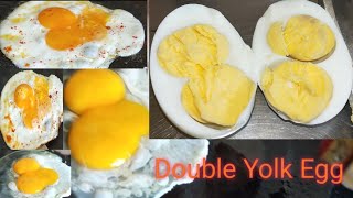 Double Yolk Egg##Double kussum egg##