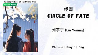 缘圈 (Circle of Fate) - 刘宇宁 (Liú Yǔníng) - [仙台有树 Love of the Divine Tree OST]《Chinese | Pinyin | Eng》