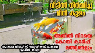 Amazing Outdoor koi pond/എൻ്റെ വീട്ടിൽ നിർമ്മിച്ച മീൻ കുളവും അതിലുള്ള മീനുകളും/My home made fishpond