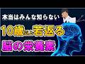 【本当はみんな知らない10歳以上若返る脳の栄養素】について現役医師が分かりやすく解説します