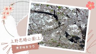 【What is YY doing?】Tokyo Sakura Festival 2023 - EP1 | Ueno Park | 4K