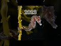 2023 Sea horse V/s 5000 bce Sea horse #viral #shortvideo