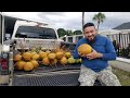 Ricos Cocos en Florida🌴🥥