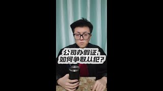 公司办假证，如何争取从犯？#法律咨询 #律师 #办假证 #从犯 #吃瓜