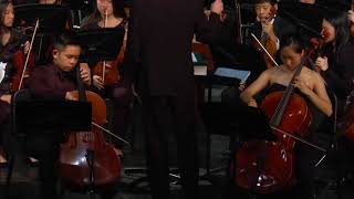 Concerto For Two Cellos: Symphony Orchestra at 2018 Homestead Spring Concert Series