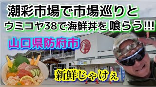 【山口県防府市観光と飯テロ#62】潮彩市場 防府で市場巡りとウミコヤ38で海鮮丼を喰らう！/山口県防府市