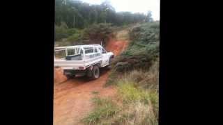 Nissan patrols in brindabella NP