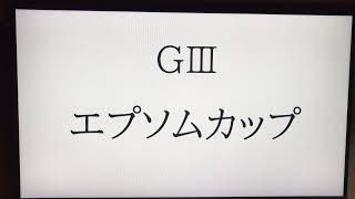 函館SSとエプソムCの競馬予想📝🏇🏇