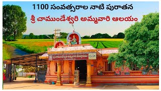 కోరిన కోర్కెలు తీర్చే కల్పవల్లి | Gangapatnam Chamundeswari Temple