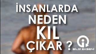 İNSANDA KIL NEDEN ÇIKAR ?? (sesli)