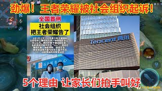 6月1日，王者荣耀被社会组织告了，5个理由，让家长们拍手叫好！