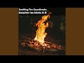 Burning Forest Wood