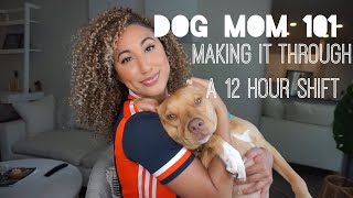 How To Manage Having A Dog With A Busy Schedule