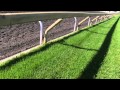 Lawn Story Short: Maintaining North America's Most Beautiful Turf Course