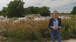 The waste land: Tackling France's illegal dumping