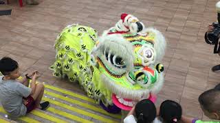 少林得英堂国术健身社 Seow Lim Teck Eng Tong Lion Dance Cai Qing Performance at Hong San Temple 20 Sep 2019