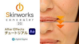 Skinworks Concealer 2G 使い方  [ AfterEffects ]