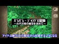 全種族解放条件のススメ【モンスターファーム2】