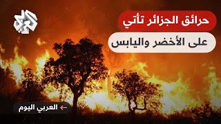 العربي اليوم | البرلمان الجزائري يبحث تشديد العقوبات على المتسببين في حرائق الغابات.. إليكم التفاصيل