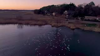 【ドローン空撮】茨城県 牛久沼 2019年1月2日