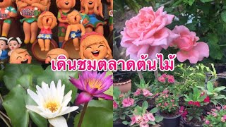 ชมตลาดต้นไม้ดอกไม้ I Trees and Flowers market