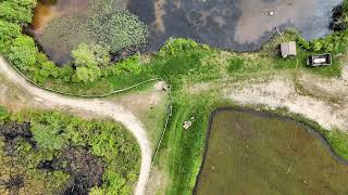 Cranberry Bog at Patriot Place - Hidden Gem of Foxborough, Massachusetts