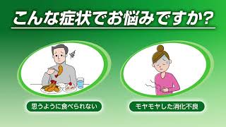 自分の症状に合った胃腸薬が選べる大正胃腸薬シリーズ【大正胃腸薬バランサー】