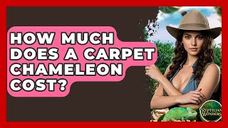 How Much Does A Carpet Chameleon Cost? - Reptilian Wonders