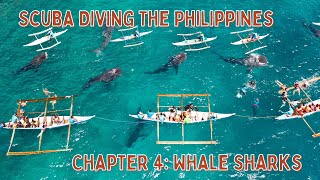 Scuba Diving The Philippines - Chapter 4: Snorkeling \u0026 Diving with Whale Sharks - Oslob