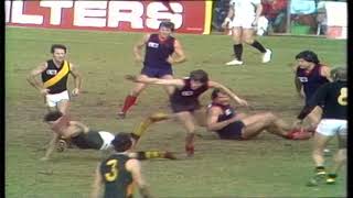 1977 Round 12 Glenelg 15.8 98 d Norwood 13.17 95