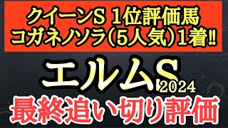 【エルムステークス2024】最終追い切り評価！個人的追い切り1位は楽な手応えで僚馬と併走して追ったら伸びそうなあの馬！