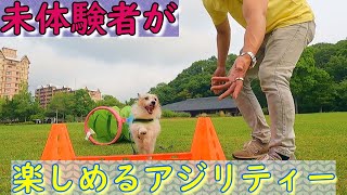 老犬でも未体験者でもアジリティーは楽しめる！