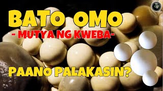 MUTYA NG KWEBA | BATO OMO PAANO PALAKASIN | Bhes Tv