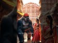 royal stroll gorilla and lady exploring jaipur’s streets 🦍✨