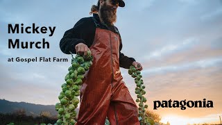 Mickey Murch | Gospel Flat Farm