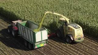 Mais-Ernte 2020 - Biogasanlage /  Corn Harvest in 2020 - Biogas Plant - Maisernte mit DJI Mavic Air2