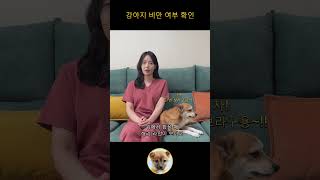 우리 아이 비만인가요? 집에서 쉽게 알아보는 비만 체크 방법! #강아지 #반려동물 #강아지건강관리 #반려견 #강아지유튜브 #pets #댕댕이 #강아지일상 #고양이