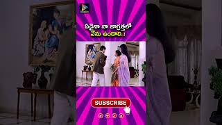 ఏదైనా నా జాగ్రత్తలో నేను ఉండాలి   ! #telugucinemas #comedyvideos #movieshorts #funnyshorts