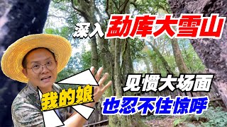 深入勐库大雪山！老高寻茶见惯大场面，也忍不住惊呼“我的娘”！购茶请加微信/赖line2号店：HDLG002 #普洱茶#古树茶 #老班章 #古树茶#茶#茶叶#茶葉#古樹茶 #普洱茶wechat