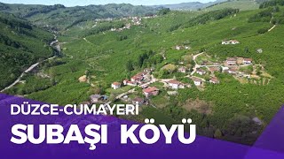 DRONE GÖRÜNTÜSÜ- DÜZCE CUMAYERİ SUBAŞI KÖYÜ