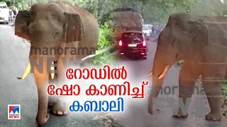 റോഡ് തടഞ്ഞ് കൊമ്പന്‍; ഗതാഗതം തടസ്സപ്പെടുത്തി കബാലി | Sholayar | Kabali | Wild Elephant