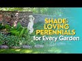 Shade-Loving Perennials for Every Garden