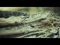 canon r5c cinematic footage nature ambience in spring